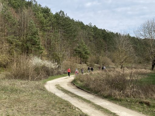IMG_1037