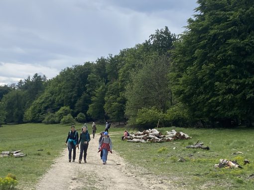 IMG_1321