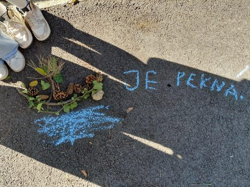 5e48c98e-31cc-44a2-88e3-23aff1558c9f