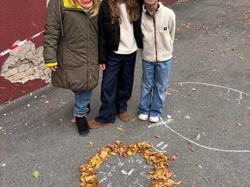 fc9ab6b2-0e35-4221-a133-df208c022fd4