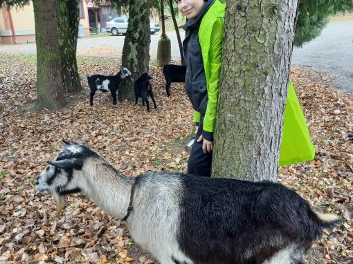 a4391b9c-4209-48fd-8e35-72c3ec4654cb