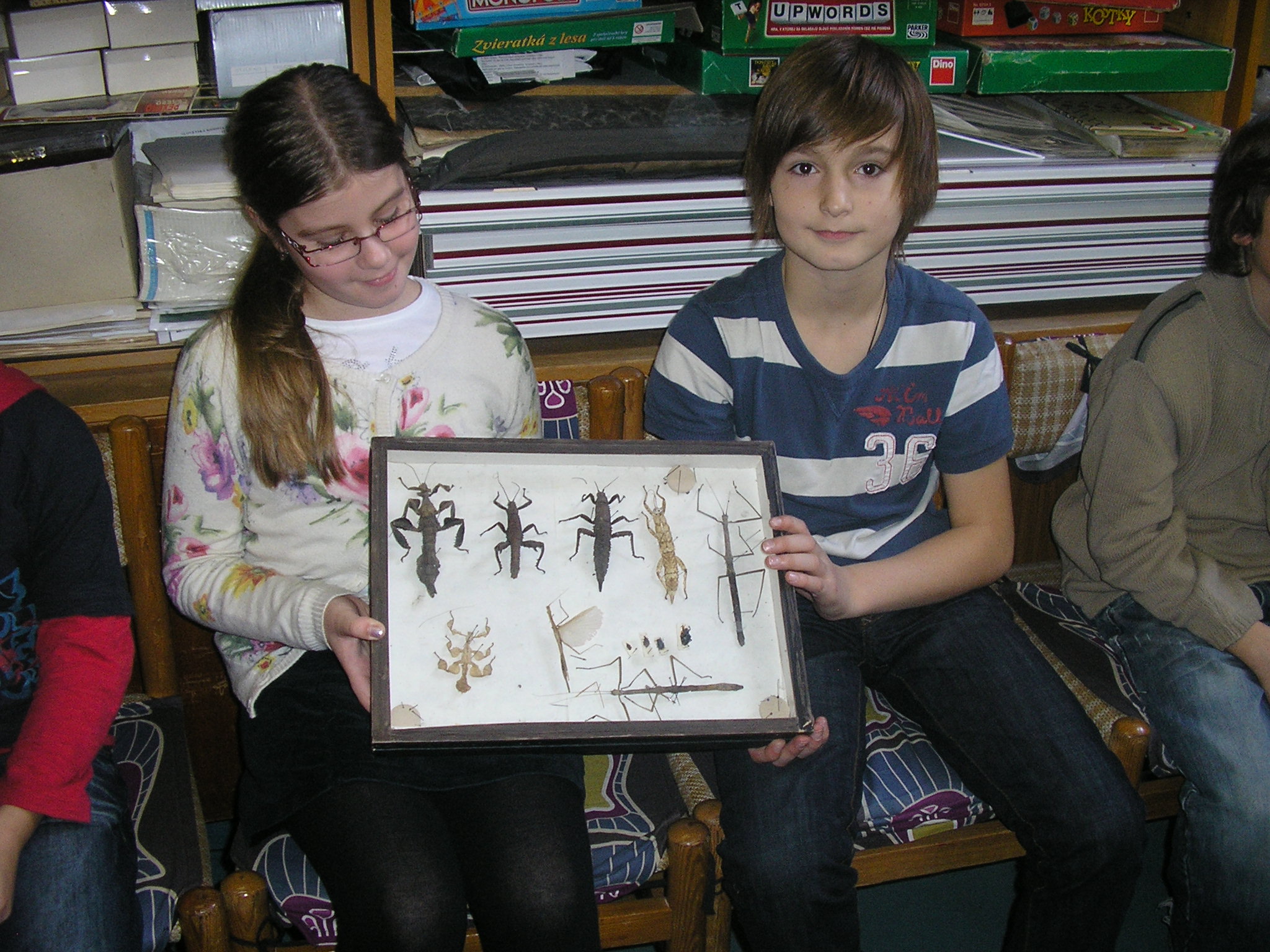 Alternatívne vyučovanie prírodovedy - Hmyz
