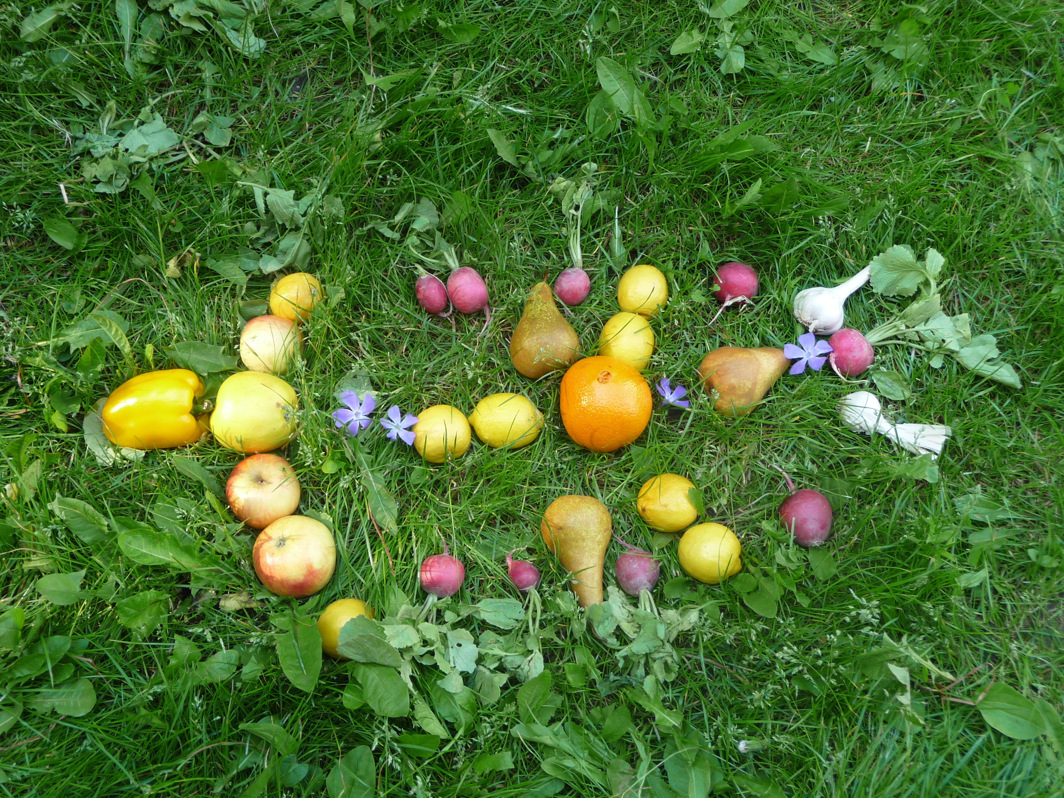 Ovocie a zelenina – mozaika
