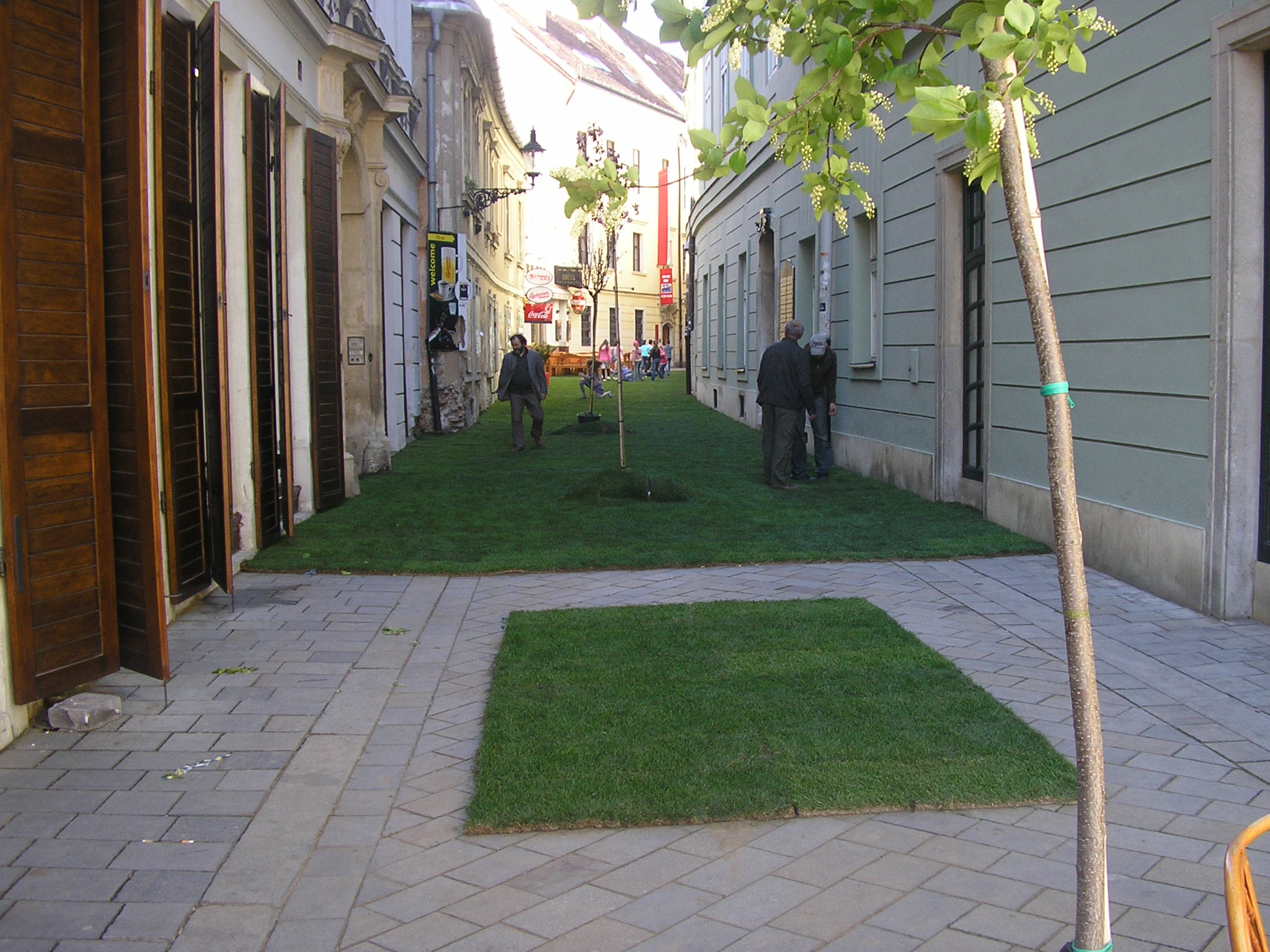 Môže byť Zelená ulica v Bratislave naozaj zelená?