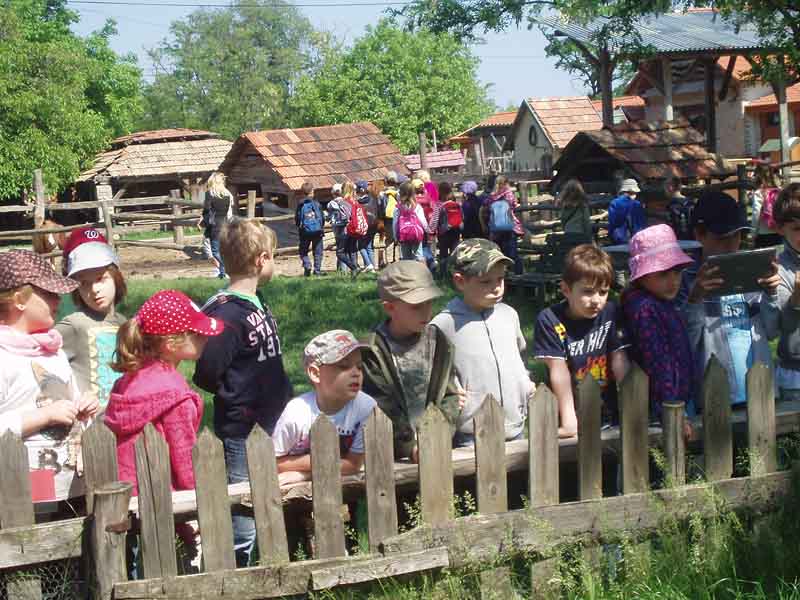 Školský výlet farma Humanita